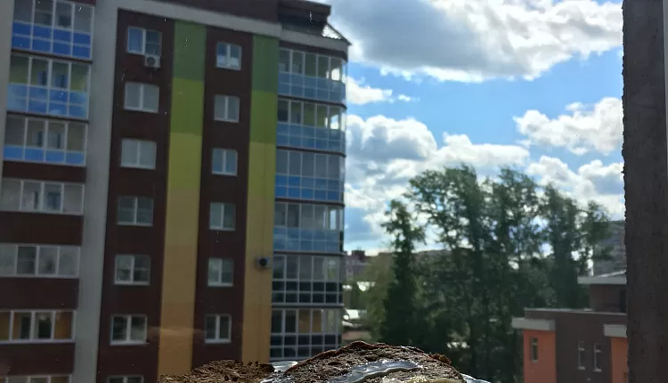 Оладьи дрожжевые