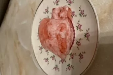 Рулетик из желе