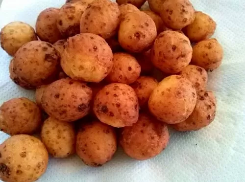 Фото рецепта Творожные шарики-пончики