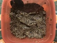 Фото шага рецепта №2