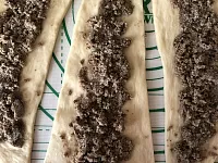 Фото шага рецепта №3