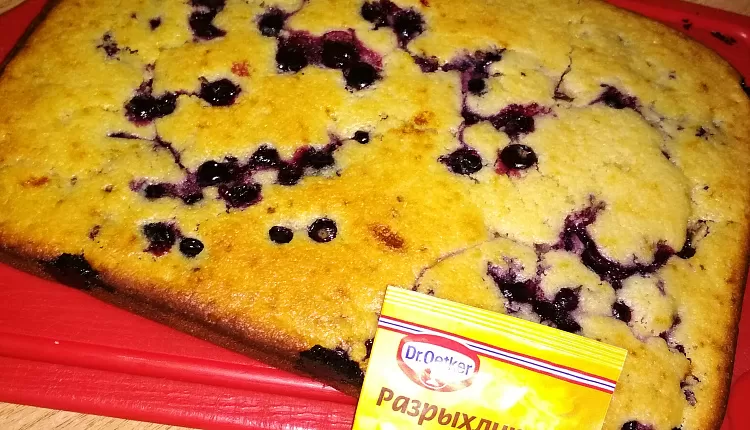 Пирог с чёрной смородиной 