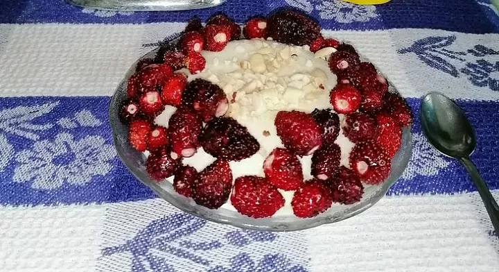 Мороженое фото