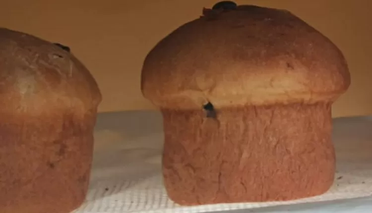 кулич  с творогом в хлебопечке 