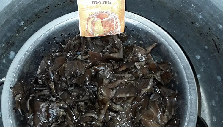 Пирожки с грибами и квашеной капустой
