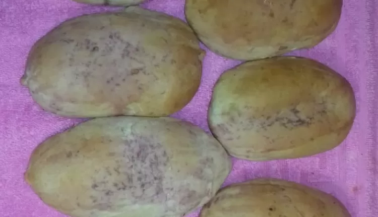 Дрожжевые пирожки с капустой