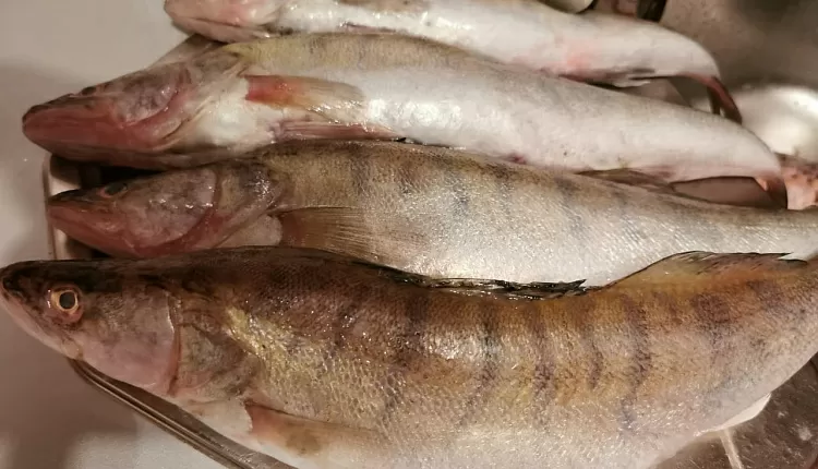 Запечённая рыба с паприкой и овощами 