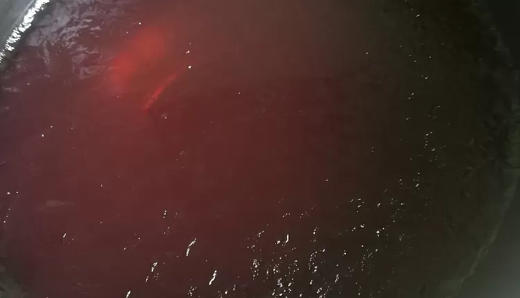 Клубничное желе с желатином