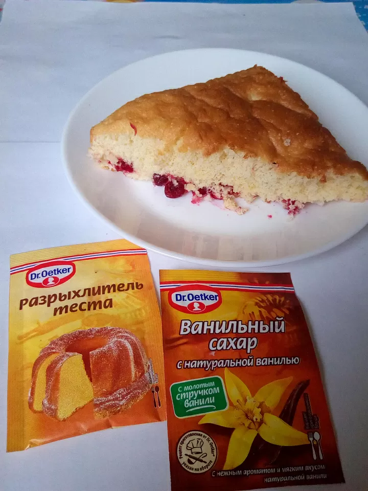 Шарлотка с клюквой. фото