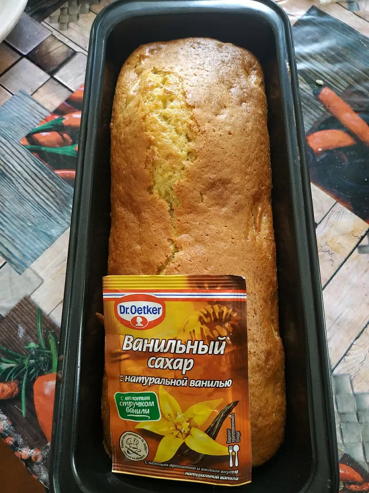 шарлотка обычная  фото