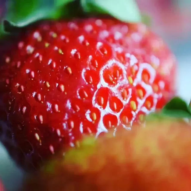 Фото отзыв на рецепт