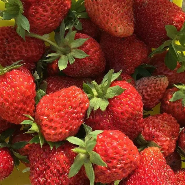 Фото отзыв на рецепт