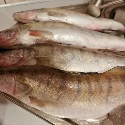 Фото отзыв на рецепт