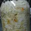 Квашеная капуста 