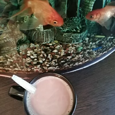 Фото отзыв на рецепт