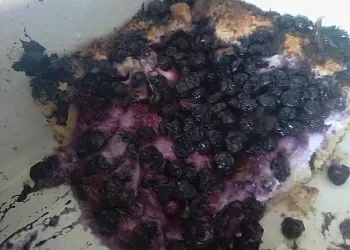 Пирог с творогом и черными ягодами и какао