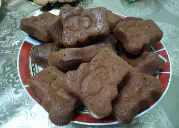 Северный мишка