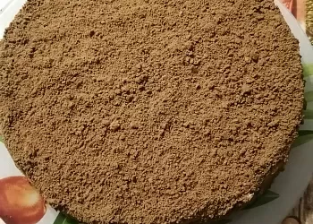 Шоколадный медовик "Спартак"