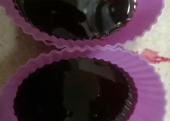 Домашний виноградный мармелад с желфиксом