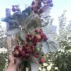 Автор рецепта Мокрый яблочный пирог