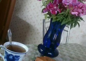 Золотистый яблочный пирог