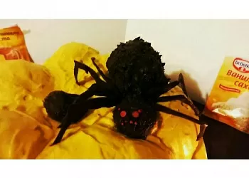 Spider cake