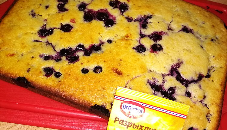 Пирог с чёрной смородиной 