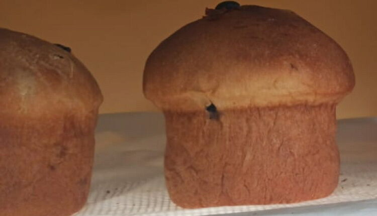 кулич  с творогом в хлебопечке 