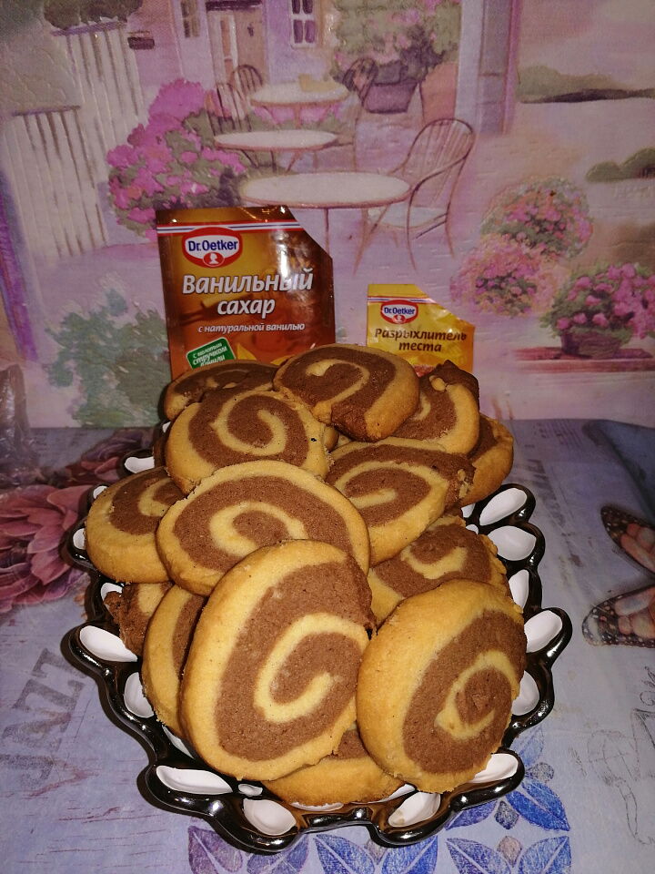 Улитки фото