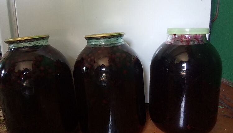 Желе из компота