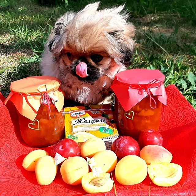 Фото отзыв на рецепт