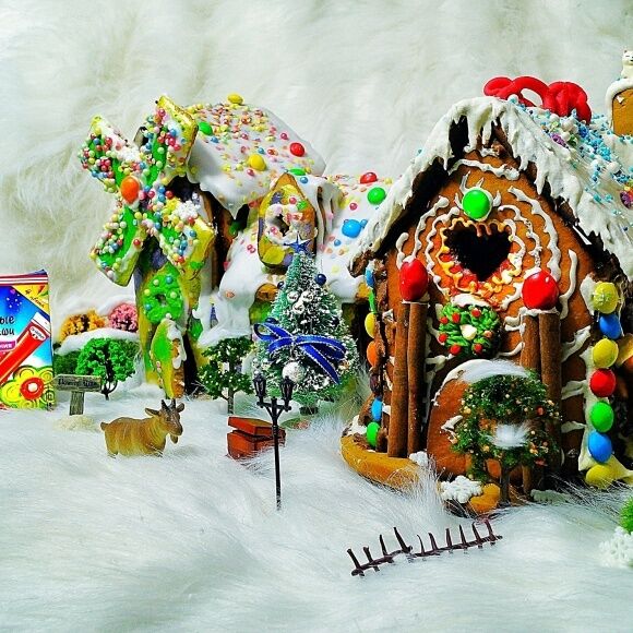 Пряничный домик "Зимняя деревня в ожидании Рождества"
