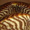 Шоколадная зебра