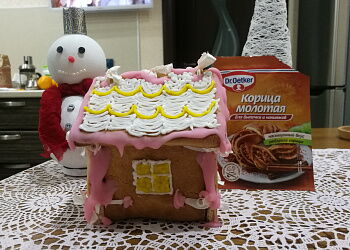 Пряничный домик или новогодняя сказка для «Конкурс Russell Hobbs»