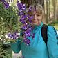 Автор рецепта Светлана