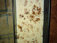 Фото шага рецепта №7