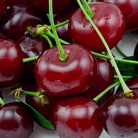 Фото шага рецепта №1