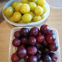 Фото шага рецепта №1