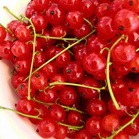 Фото шага рецепта №1