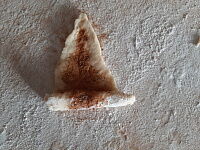 Фото шага рецепта №7