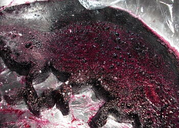 Домашний мармелад "Черничка"