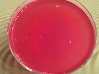 Фото шага рецепта №4