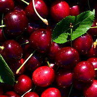 Фото шага рецепта №1