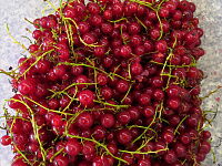 Фото шага рецепта №1