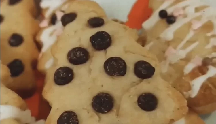 Печенье с шоколадом 