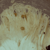 Фото шага рецепта №3