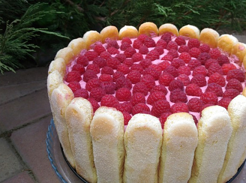 Фото рецепта Торт-шарлотт с малиновым муссом 