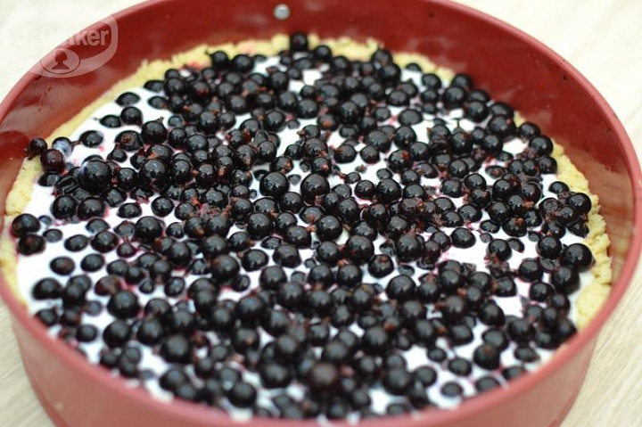 Творожный пирог с ягодами (черника), пошаговый рецепт на ккал, фото, ингредиенты - Елена